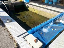 鮎釣り終盤！秋深まる箒川で〝真逆戦法〟が大当たり！？