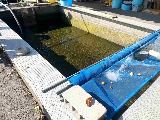 鮎釣り終盤!秋深まる箒川で〝真逆戦法〟が大当たり!?