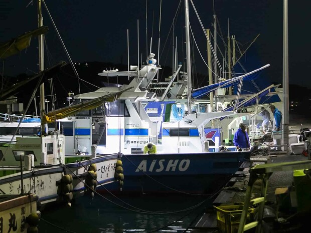 時間になると各船灯りを付け出迎えてくれる。 &copy;釣りビジョン