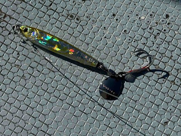 朝はブルピン、午後はチャートリュースに釣果が集中。 ©釣りビジョン