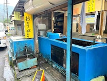 【シーズン終盤の鮎】岐阜河川でデカ鮎＆マッキキー鮎のハシゴ釣行！ ～根尾川・長良川～