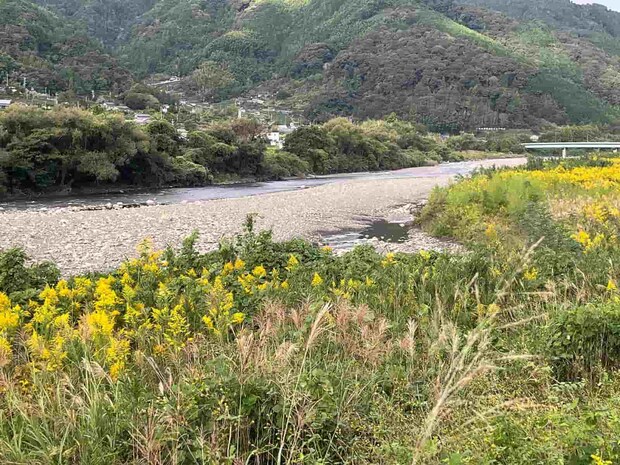 水見色川合流ポイント！大きな河原もあり上下流共に大きく釣り歩く事ができる。 ©釣りビジョン