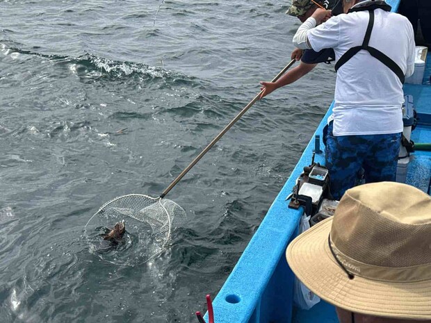 良型が掛かると中乗りさんがタモ入れしてくれる。 &copy;釣りビジョン