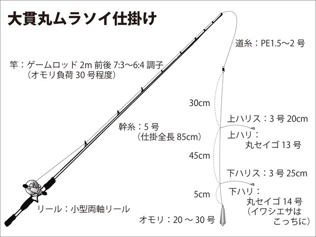 『大貫丸』ムラソイ仕掛け図。 &copy;釣りビジョン