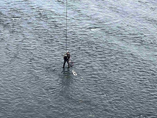 大会開始と共にポツリポツリと竿が曲がり始めた。 ©釣りビジョン