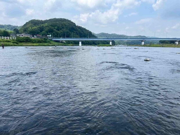放浪し橋下左岸ヘチで待望の1尾も、鮎は鯉の口の中へ…（泣）。 &copy;釣りビジョン