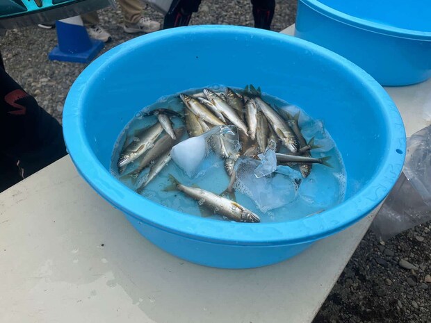 1日目トップの選手はダントツの釣果。32尾！ &copy;釣りビジョン