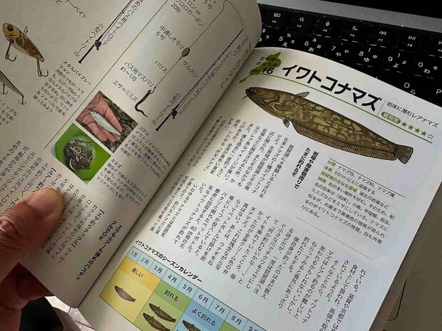 イワトコナマズやビワコオオナマズの釣り方を詳しく紹介した本がかつてあっただろうか？ &copy;望月俊典