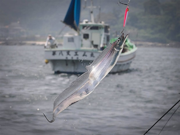 こちらでもヒットの連続。 &copy;釣りビジョン