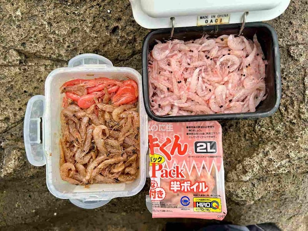 複数の付けエサを準備すると、色々な状況に対応しやすい。 ©釣りビジョン