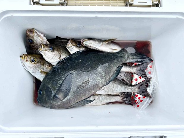 今回の私の釣果。 &copy;釣りビジョン