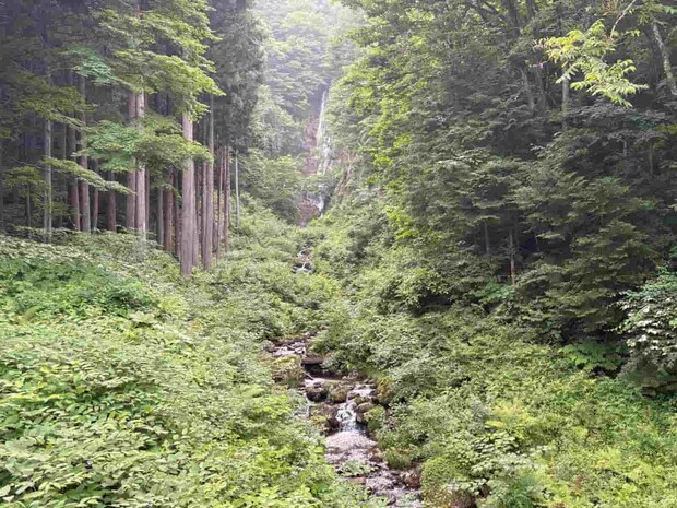 長野県木曽川水系の小規模な沢を巡っていく。©釣りビジョン