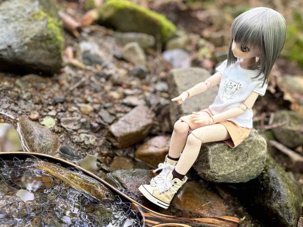 美しいヤマトイワナと、可愛らしい〝ホウセンカ〟ちゃんの貴重なツーショット！©釣りビジョン