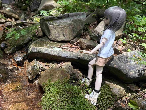 もちろん〝ホウセンカ〟ちゃんの〝野撮〟も忘れない。©釣りビジョン