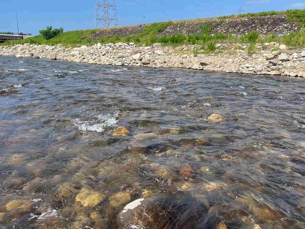 午後はこんなジャラ瀬から！白泡で反応！ ©釣りビジョン