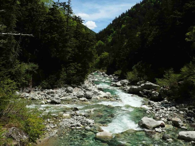 黒部本流と薬師沢の出合い、鉄砲水の判断に役立つ。 &copy;釣りビジョン
