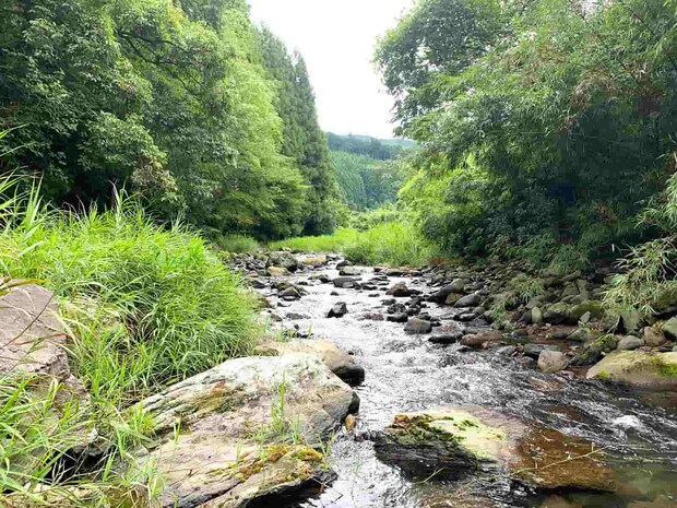 何度かライズはあったがゴツンはこの瀬の一度きりだった。 &copy;釣りビジョン