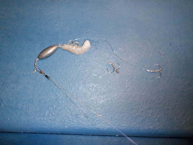 親バリを尾羽の切り口から刺し、針先を出してエビを真っ直ぐにする。 ©釣りビジョン