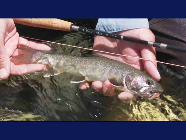 試行錯誤を繰り返した末の出会いは格別だ。普段から写真を撮ることで得難い感情を留めてくれる。©釣りビジョン