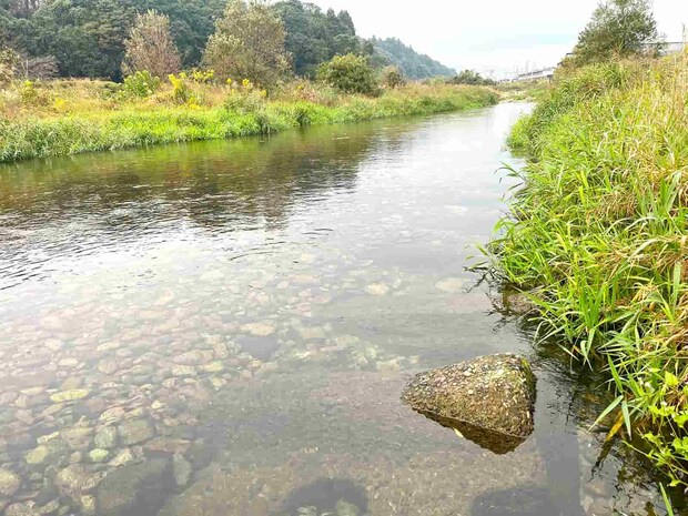 入川口降りれば多くの鮎の姿が目視できた！ ©釣りビジョン