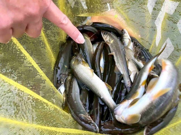 最終釣行は連チャンもあり釣果も大満足！最高な締めくくりとなった。 &copy;釣りビジョン