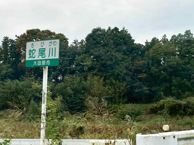 【鮎納竿！】2025年シーズン最終釣行！未知の支流蛇尾川で最高な締めくくり！