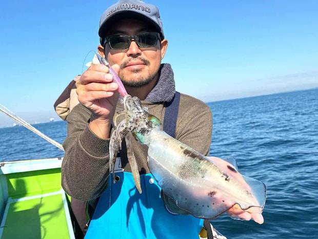 静かに優しく扱うと墨吐きもなく体色も穏やか。 ©釣りビジョン