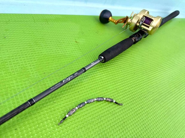 シャクリが楽な長竿釣法、触れたら最後、虜になる釣りだ。 &copy;釣りビジョン