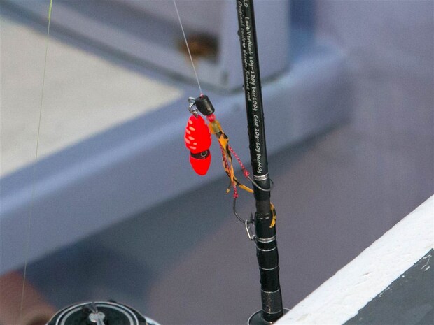 様々なスタイルの物がある。 ©釣りビジョン