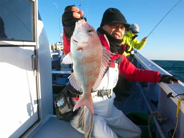 マダイもアベレージアップ。 &copy;釣りビジョン