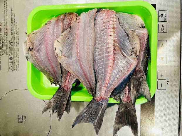 中型サイズは干物で美味しくいただいた &copy;釣りビジョン