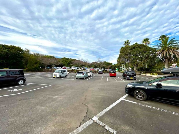 伊豆海洋公園駐車場は24時間営業で一日700円と手頃な値段で利用しやすい。 &copy;釣りビジョン