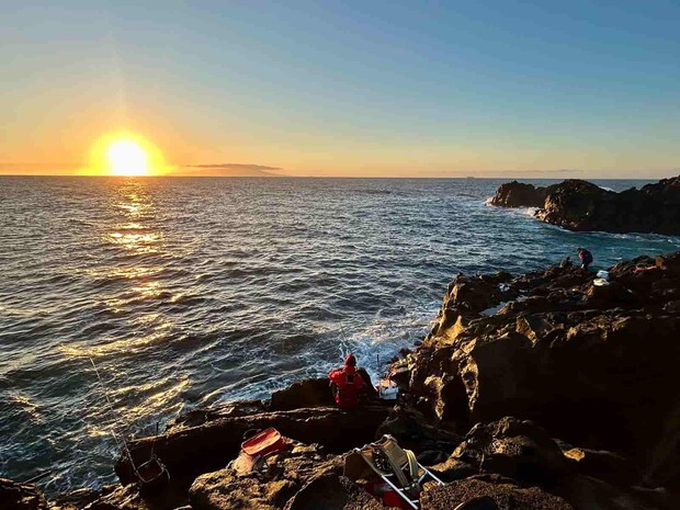 【中型オナガ連発】東伊豆の地磯で1日通して〝楽しい引き〟を堪能