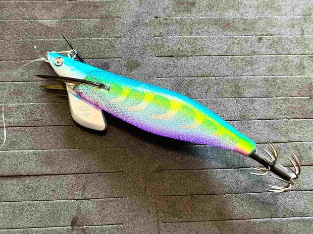 はじめに使用した【ティップランナー】の3号。カラーは「ジュエルケイムラ」です。 &copy;釣りビジョン