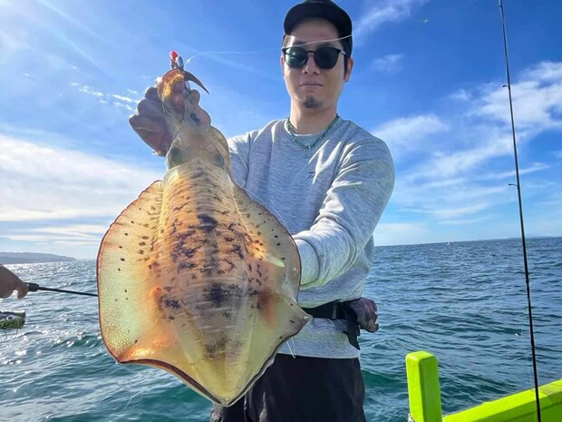 1kgを超える大型のアオリイカ。 ©釣りビジョン