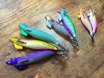 秋イカシーズン到来！東京湾のティップラン【営業担当・三浦のガチンコ釣行記】