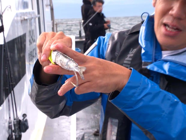 どこにアタックして来るか分からない。&copy;釣りビジョン