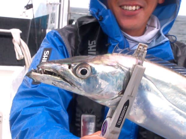 このサイズになると顔がいかつい！&copy;釣りビジョン