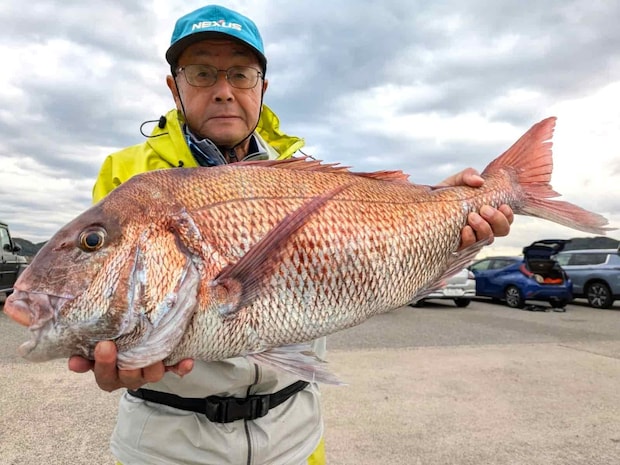 取材前日に釣れた6.6kgの大ダイ！秋は小型中心と侮るなかれ！（船長撮影） &copy;釣りビジョン