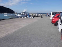 【6kg超の大型も】コマセマダイ本番！水温下がってトップ2ケタと絶好調！千葉県富浦港『共栄丸』