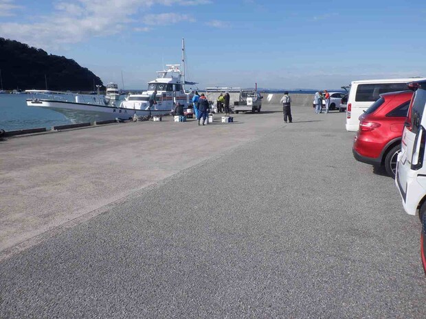 【6kg超の大型も】コマセマダイ本番！水温下がってトップ2ケタと絶好調！千葉県富浦港『共栄丸』