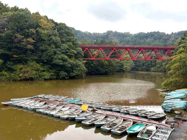 最強アングラーたちのビッグフィッシュバトルが遂に決着！！『釣戦 victory of divisions』