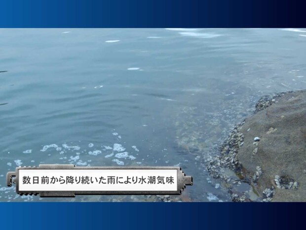 渡礁したのは港からすぐの「焼島の水道」に渡礁。2ケタの本命チヌを釣って楽しもうと思っていた猪熊氏であったが、仲間からの情報によると1週間ほど前に降った大雨の影響で状況はあまり良くないとのこと。水潮の影響で2枚潮になっていることが想定される。そんな状況の中、猪熊氏はどう攻めていくのか！？