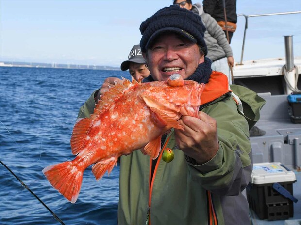 型がよいウッカリカサゴ。 &copy;釣りビジョン