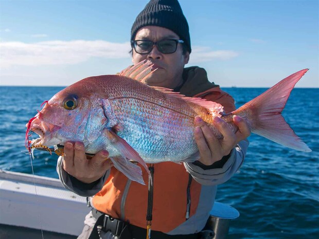 これもよいサイズのマダイ。 &copy;釣りビジョン