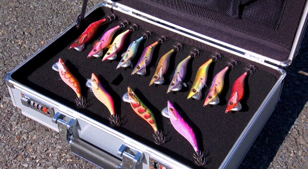 状況を打破せよ！ボトムで仕留める愛南の秋イカ！