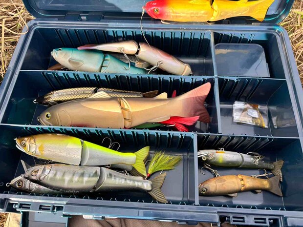 準備してきたビッグベイト。スライドスイマーとジョイクロ中心で、タイニークラッシュやニンジャグライダーも用意した。使うときにはシングルフックに交換。 &copy;横沢鉄平