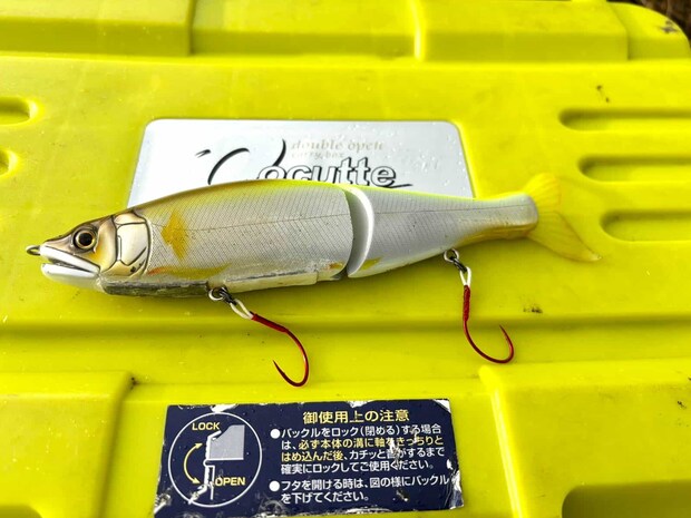 ジョインテッドクロー178（ガンクラフト）のドリフト釣法は、なんと1時間に4度もサケが喰ってきた！ &copy;横沢鉄平