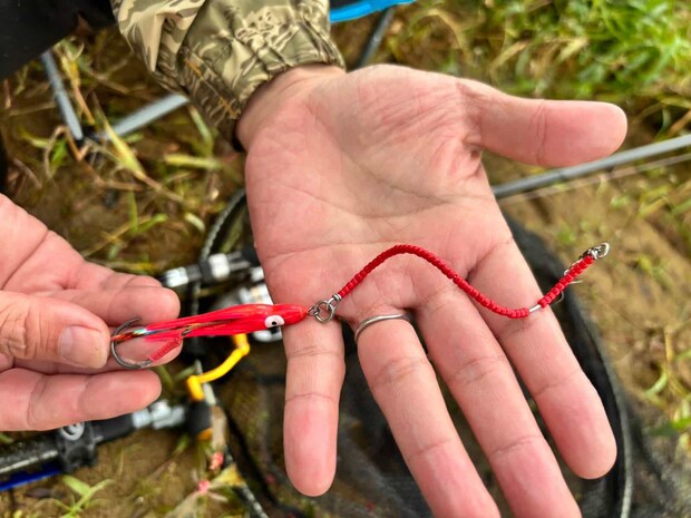 ヒットルアーは、この海鱒スパイラル・ハンター（海鱒クラフト）。形状記憶合金なので、変形しても元に戻る。アイハラはタコベイトもプラスした。 &copy;横沢鉄平