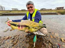 ≪メディア初？≫ビッグベイトで日本のサーモンフィッシングに挑戦！【新潟県五十嵐川】